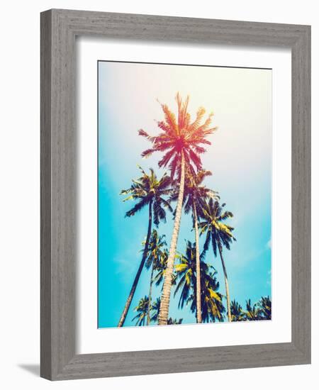 Palms in the Sun-Tai Prints-Framed Photographic Print