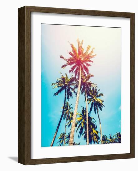 Palms in the Sun-Tai Prints-Framed Photographic Print