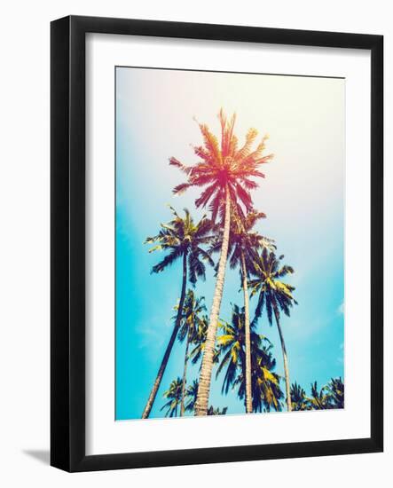 Palms in the Sun-Tai Prints-Framed Photographic Print