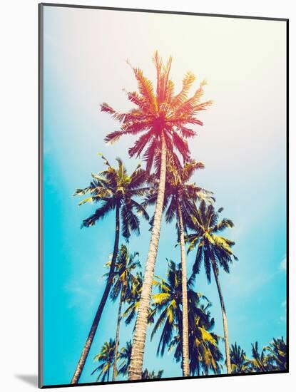 Palms in the Sun-Tai Prints-Mounted Photographic Print