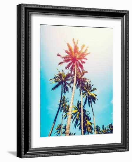 Palms in the Sun-Tai Prints-Framed Photographic Print