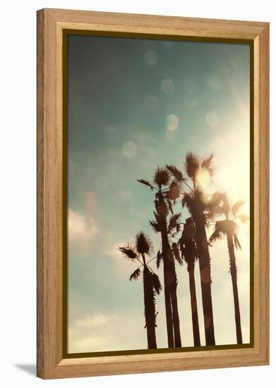 Palms in the Sun-Emily Navas-Framed Stretched Canvas