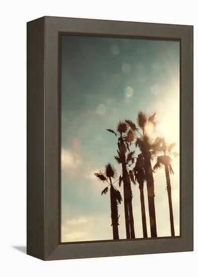 Palms in the Sun-Emily Navas-Framed Stretched Canvas