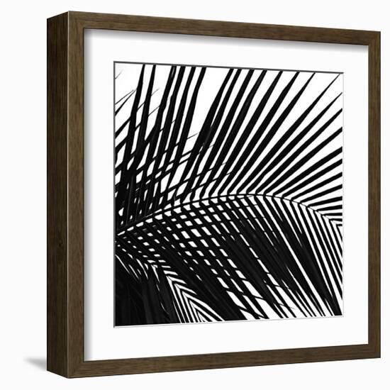 Palms, no. 10 (detail)-Jamie Kingham-Framed Giclee Print
