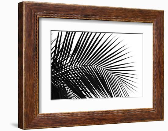 Palms, no. 10-Jamie Kingham-Framed Giclee Print