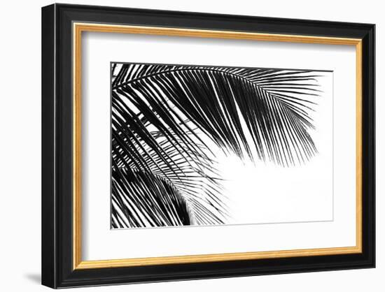 Palms, no. 11-Jamie Kingham-Framed Giclee Print