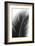 Palms, no. 14-Jamie Kingham-Framed Giclee Print