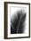 Palms, no. 14-Jamie Kingham-Framed Giclee Print