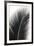 Palms, no. 14-Jamie Kingham-Framed Giclee Print