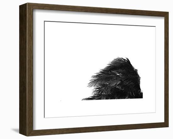 Palms, no. 1-Jamie Kingham-Framed Giclee Print