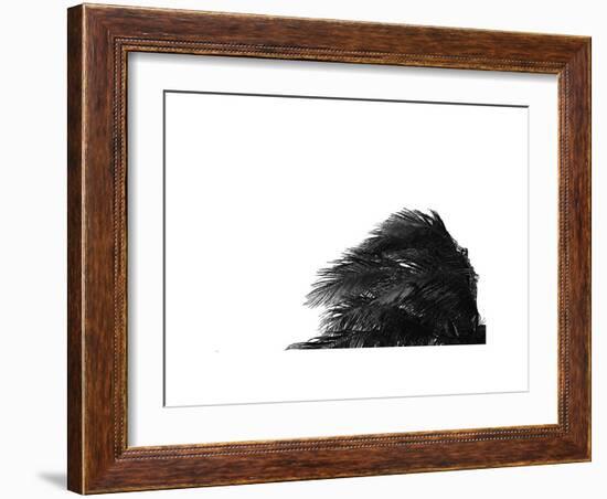 Palms, no. 1-Jamie Kingham-Framed Giclee Print