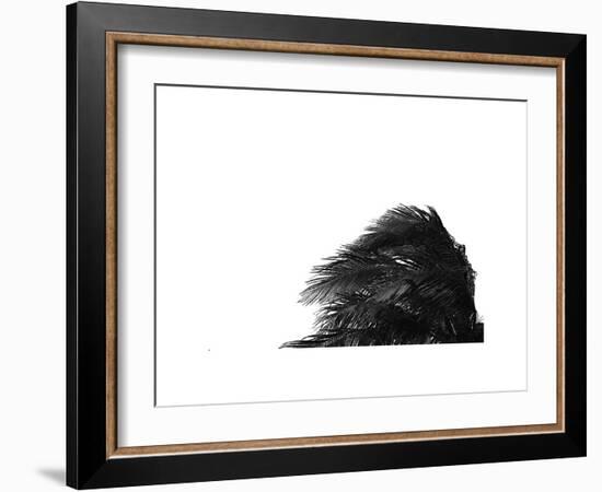 Palms, no. 1-Jamie Kingham-Framed Giclee Print