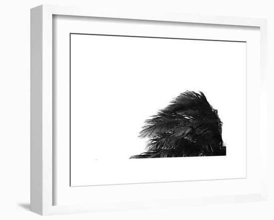 Palms, no. 1-Jamie Kingham-Framed Giclee Print