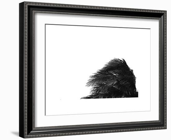 Palms, no. 1-Jamie Kingham-Framed Giclee Print