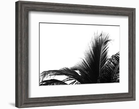 Palms, no. 2-Jamie Kingham-Framed Giclee Print