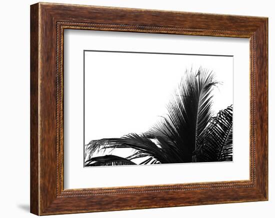 Palms, no. 2-Jamie Kingham-Framed Giclee Print