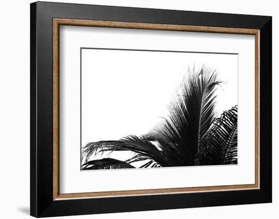 Palms, no. 2-Jamie Kingham-Framed Giclee Print