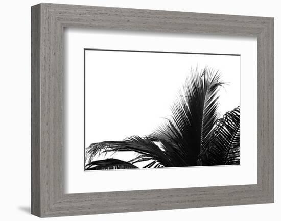 Palms, no. 2-Jamie Kingham-Framed Giclee Print