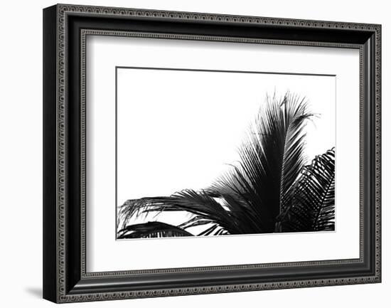 Palms, no. 2-Jamie Kingham-Framed Giclee Print