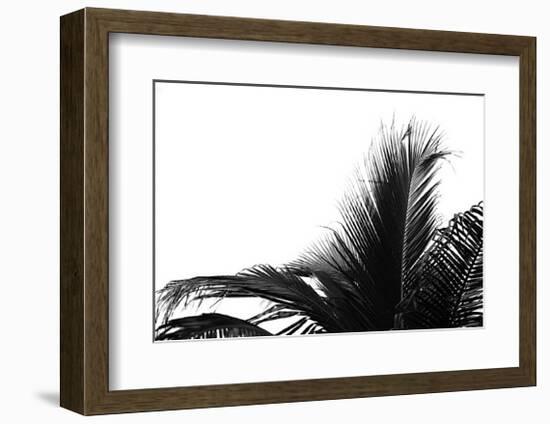 Palms, no. 2-Jamie Kingham-Framed Giclee Print