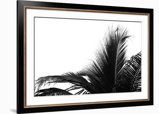 Palms, no. 2-Jamie Kingham-Framed Giclee Print