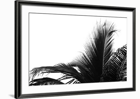 Palms, no. 2-Jamie Kingham-Framed Giclee Print