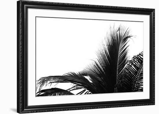 Palms, no. 2-Jamie Kingham-Framed Giclee Print