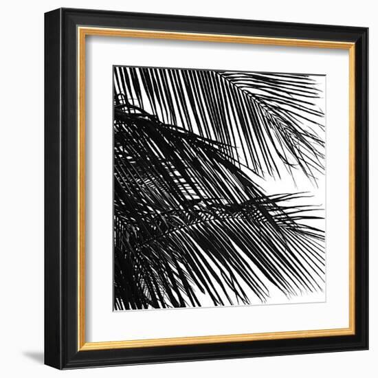 Palms, no. 4 (detail)-Jamie Kingham-Framed Giclee Print