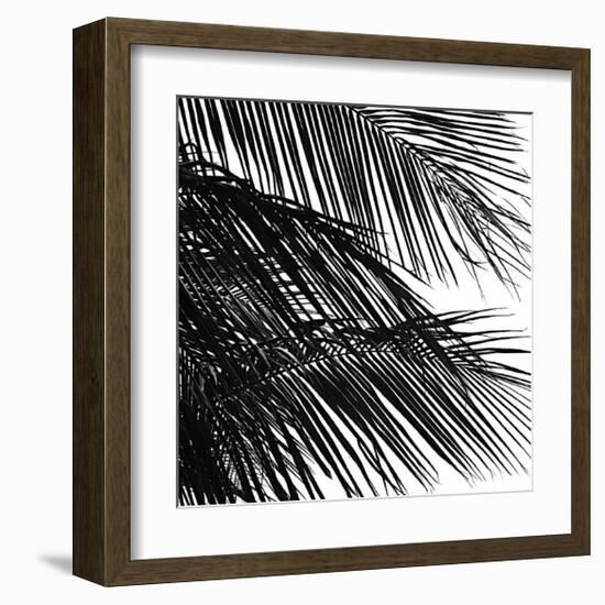 Palms, no. 4 (detail)-Jamie Kingham-Framed Giclee Print