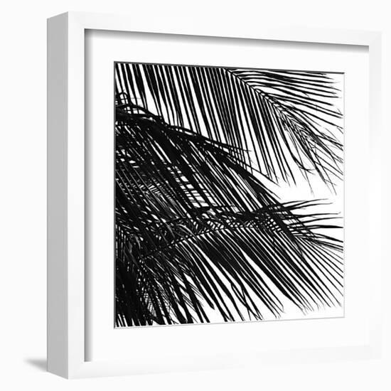 Palms, no. 4 (detail)-Jamie Kingham-Framed Giclee Print