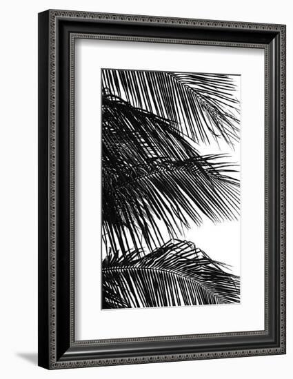 Palms, no. 4-Jamie Kingham-Framed Giclee Print