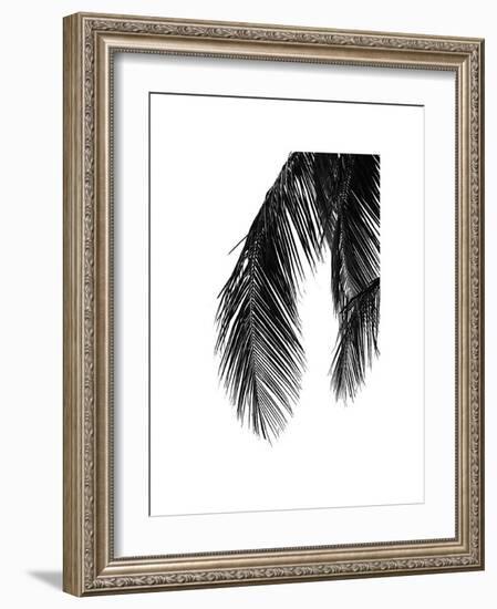 Palms, no. 5-Jamie Kingham-Framed Giclee Print
