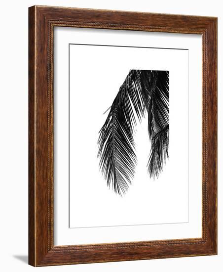 Palms, no. 5-Jamie Kingham-Framed Giclee Print