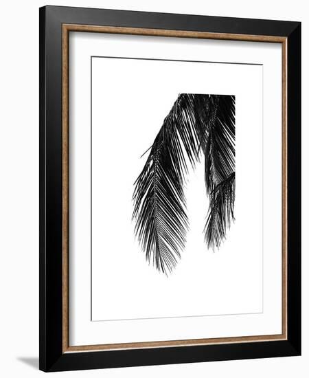 Palms, no. 5-Jamie Kingham-Framed Giclee Print