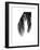 Palms, no. 5-Jamie Kingham-Framed Giclee Print