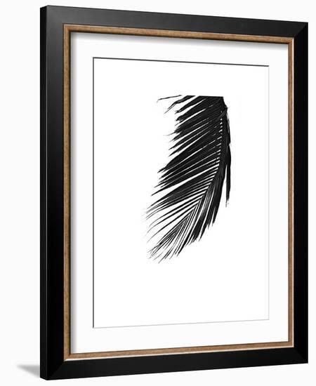 Palms, no. 8-Jamie Kingham-Framed Giclee Print