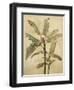 Palms of the Tropics I-Jill Deveraux-Framed Art Print
