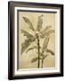 Palms of the Tropics I-Jill Deveraux-Framed Art Print