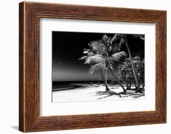 Palms on a White Sand Beach in Key West - Florida-Philippe Hugonnard-Framed Photographic Print