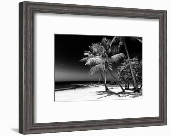 Palms on a White Sand Beach in Key West - Florida-Philippe Hugonnard-Framed Photographic Print