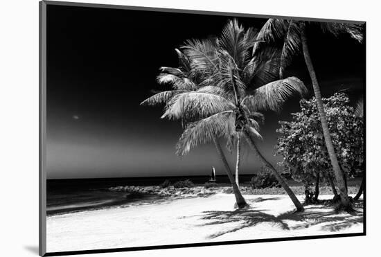 Palms on a White Sand Beach in Key West - Florida-Philippe Hugonnard-Mounted Photographic Print