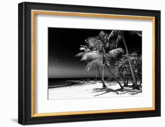 Palms on a White Sand Beach in Key West - Florida-Philippe Hugonnard-Framed Photographic Print