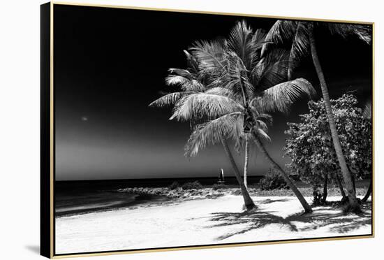 Palms on a White Sand Beach in Key West - Florida-Philippe Hugonnard-Framed Premier Image Canvas