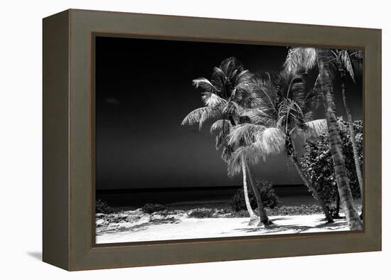 Palms on a White Sand Beach in Key West - Florida-Philippe Hugonnard-Framed Premier Image Canvas