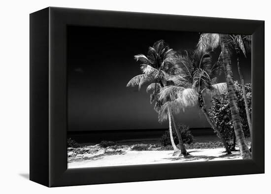 Palms on a White Sand Beach in Key West - Florida-Philippe Hugonnard-Framed Premier Image Canvas