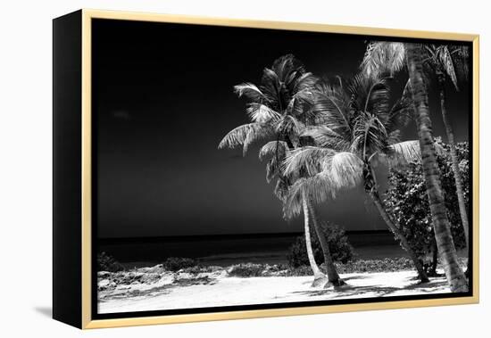 Palms on a White Sand Beach in Key West - Florida-Philippe Hugonnard-Framed Premier Image Canvas