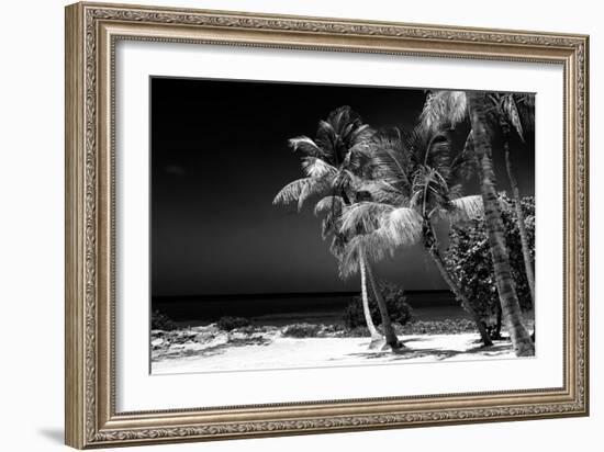 Palms on a White Sand Beach in Key West - Florida-Philippe Hugonnard-Framed Photographic Print