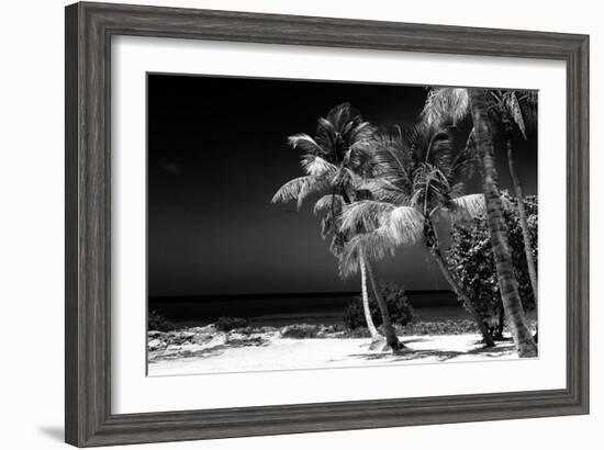 Palms on a White Sand Beach in Key West - Florida-Philippe Hugonnard-Framed Photographic Print