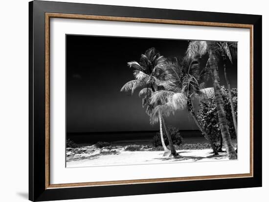 Palms on a White Sand Beach in Key West - Florida-Philippe Hugonnard-Framed Photographic Print