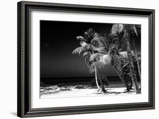 Palms on a White Sand Beach in Key West - Florida-Philippe Hugonnard-Framed Photographic Print